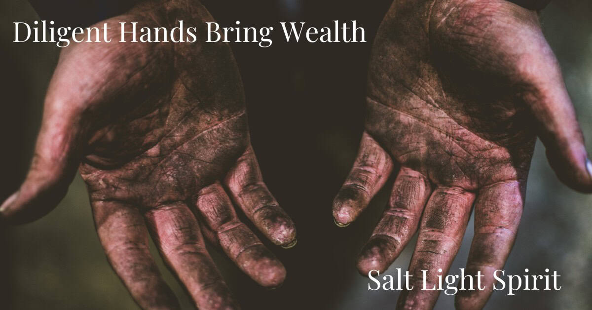 Diligent Hands Bring Wealth